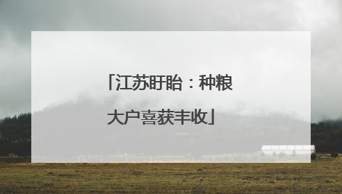 江苏盱眙：种粮大户喜获丰收