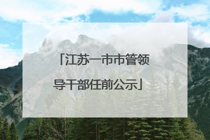 江苏一市市管领导干部任前公示
