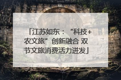 江苏如东：“科技+农文旅”创新融合 双节文旅消费活力迸发