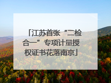 江苏首张“二检合一”专项计量授权证书花落南京