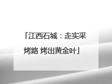 江西石城：走实采烤路 烤出黄金叶