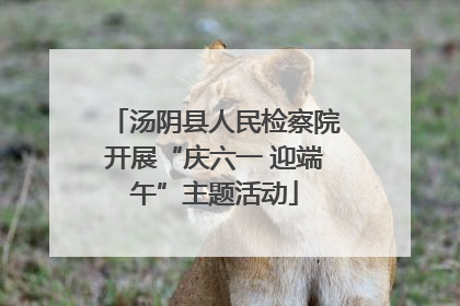 汤阴县人民检察院开展“庆六一 迎端午”主题活动