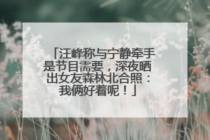 汪峰称与宁静牵手是节目需要，深夜晒出女友森林北合照：我俩好着呢！