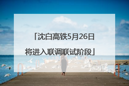 沈白高铁5月26日将进入联调联试阶段