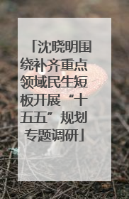 沈晓明围绕补齐重点领域民生短板开展“十五五”规划专题调研