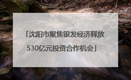 沈阳市聚焦银发经济释放530亿元投资合作机会