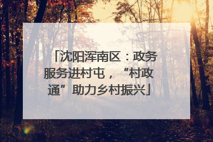 沈阳浑南区：政务服务进村屯，“村政通”助力乡村振兴