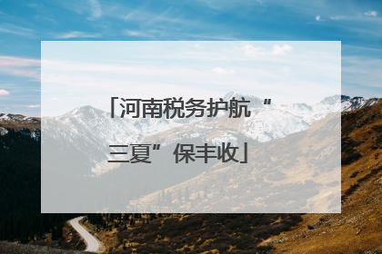 河南税务护航“三夏”保丰收