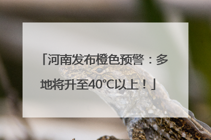 河南发布橙色预警：多地将升至40℃以上！