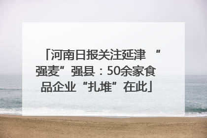 河南日报关注延津 “强麦”强县：50余家食品企业“扎堆”在此