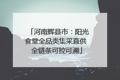 河南辉县市：阳光食堂全品类集采直供 全链条可控可溯