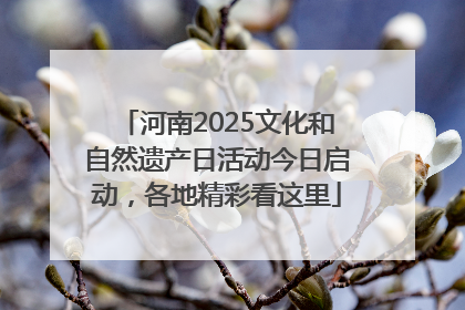 河南2025文化和自然遗产日活动今日启动，各地精彩看这里