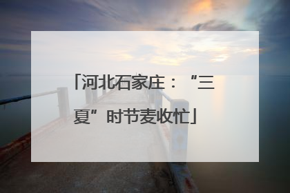 河北石家庄：“三夏”时节麦收忙