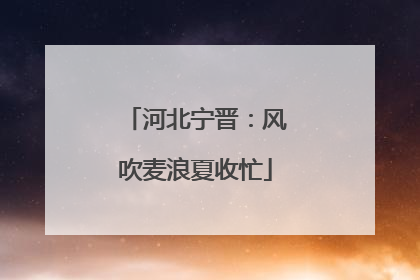 河北宁晋：风吹麦浪夏收忙
