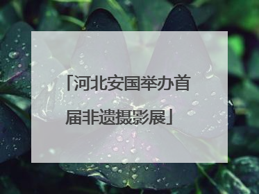 河北安国举办首届非遗摄影展