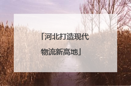 河北打造现代物流新高地