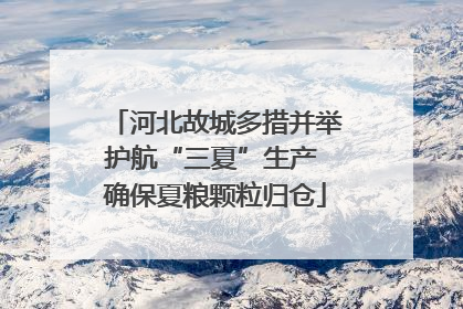 河北故城多措并举护航“三夏”生产 确保夏粮颗粒归仓