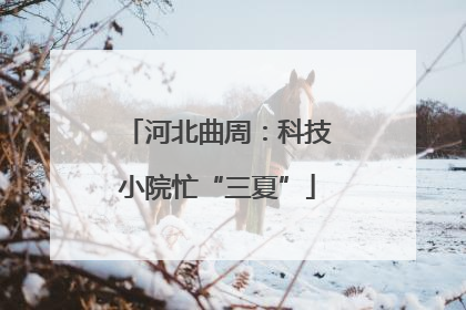 河北曲周：科技小院忙“三夏”