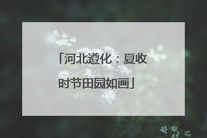 河北遵化：夏收时节田园如画