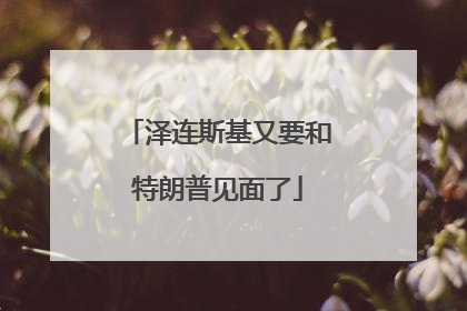 泽连斯基又要和特朗普见面了