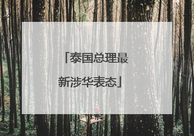 泰国总理最新涉华表态