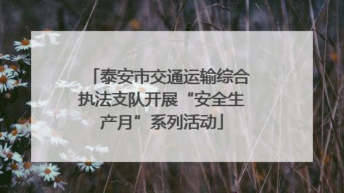 泰安市交通运输综合执法支队开展“安全生产月”系列活动