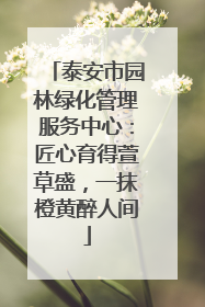 泰安市园林绿化管理服务中心：匠心育得萱草盛，一抹橙黄醉人间
