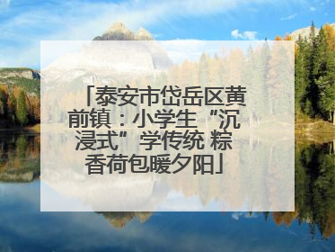 泰安市岱岳区黄前镇：小学生“沉浸式”学传统 粽香荷包暖夕阳