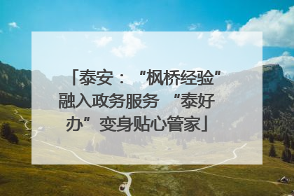 泰安：“枫桥经验”融入政务服务 “泰好办”变身贴心管家