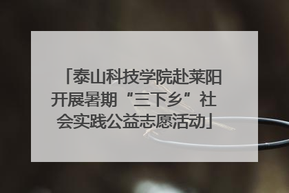 泰山科技学院赴莱阳开展暑期“三下乡”社会实践公益志愿活动