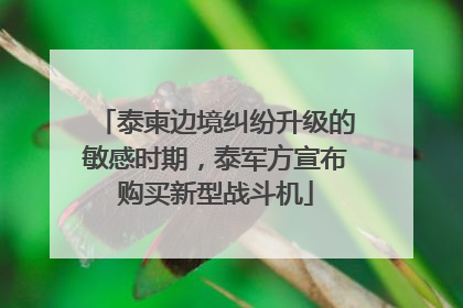 泰柬边境纠纷升级的敏感时期，泰军方宣布购买新型战斗机