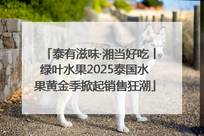 泰有滋味·湘当好吃丨绿叶水果2025泰国水果黄金季掀起销售狂潮