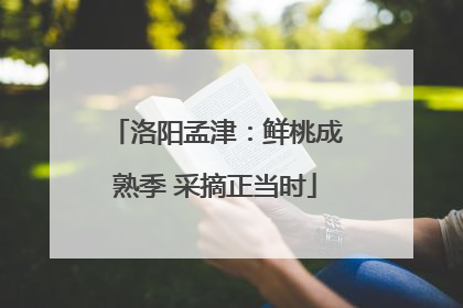 洛阳孟津：鲜桃成熟季 采摘正当时