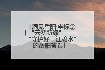 洞见岳阳·坐标③丨“云梦新绿”——“守护好一江碧水”的岳阳答卷
