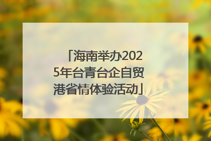 海南举办2025年台青台企自贸港省情体验活动