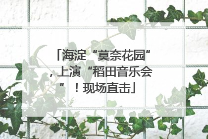 海淀“莫奈花园”，上演“稻田音乐会”！现场直击