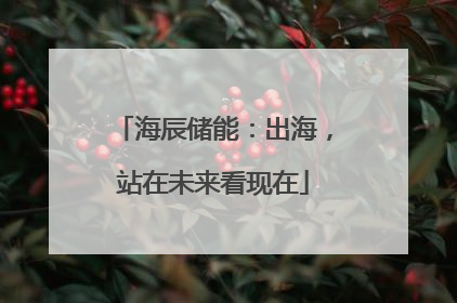海辰储能：出海，站在未来看现在