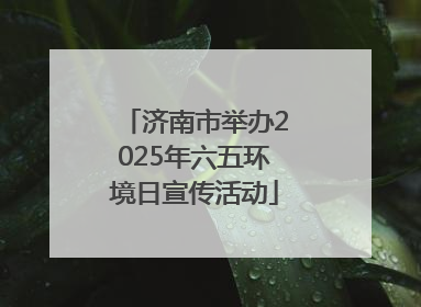济南市举办2025年六五环境日宣传活动