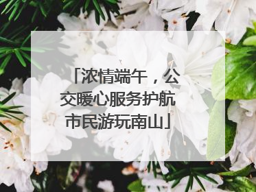 浓情端午，公交暖心服务护航市民游玩南山