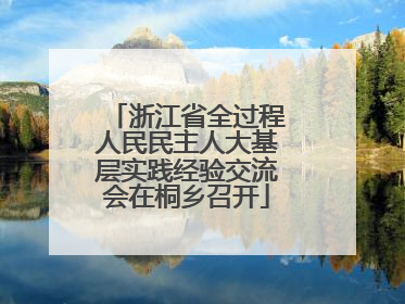 浙江省全过程人民民主人大基层实践经验交流会在桐乡召开