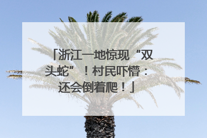 浙江一地惊现“双头蛇”！村民吓懵：还会倒着爬！