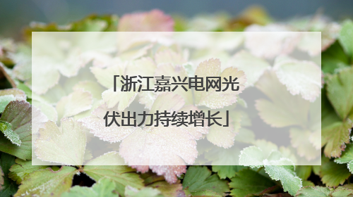 浙江嘉兴电网光伏出力持续增长