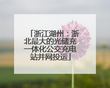 浙江湖州：浙北最大的光储充一体化公交充电站并网投运