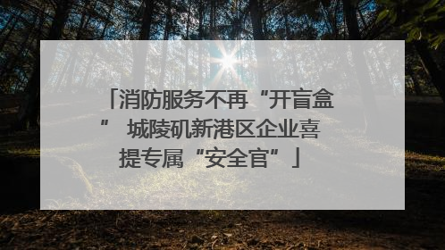 消防服务不再“开盲盒” 城陵矶新港区企业喜提专属“安全官”