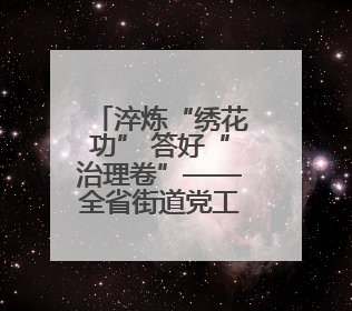 淬炼“绣花功” 答好“治理卷”——全省街道党工委副书记抓党建促基层治理培训示范班侧记