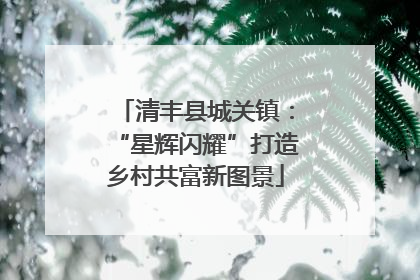 清丰县城关镇：“星辉闪耀”打造乡村共富新图景