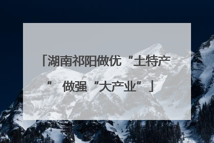 湖南祁阳做优“土特产” 做强“大产业”