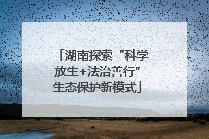 湖南探索“科学放生+法治善行”生态保护新模式