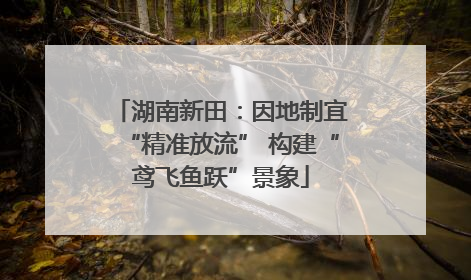湖南新田：因地制宜“精准放流” 构建“鸢飞鱼跃”景象