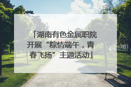 湖南有色金属职院开展“粽情端午，青春飞扬”主题活动